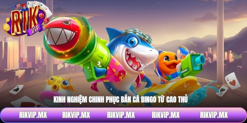 Kinh nghiệm chinh phục bắn cá Bingo từ cao thủ