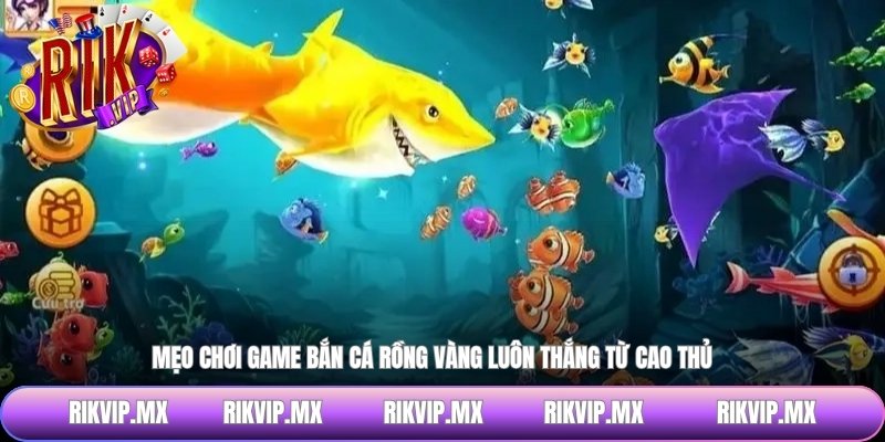 Mẹo chơi game bắn cá rồng vàng luôn thắng từ cao thủ