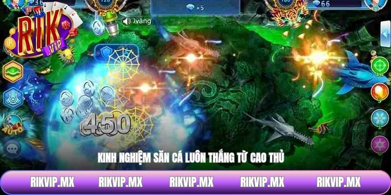Kinh nghiệm săn cá luôn thắng từ cao thủ 