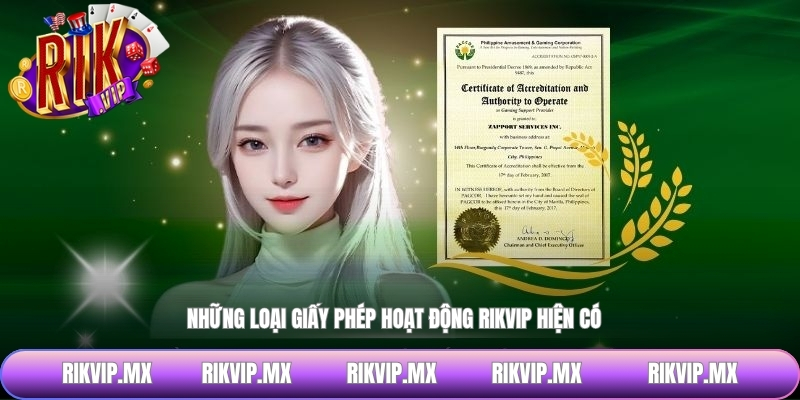 Những loại giấy phép hoạt động RIKVIP hiện có